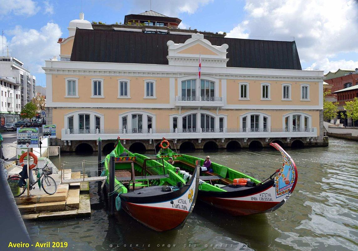 1350 - Aveiro.jpg